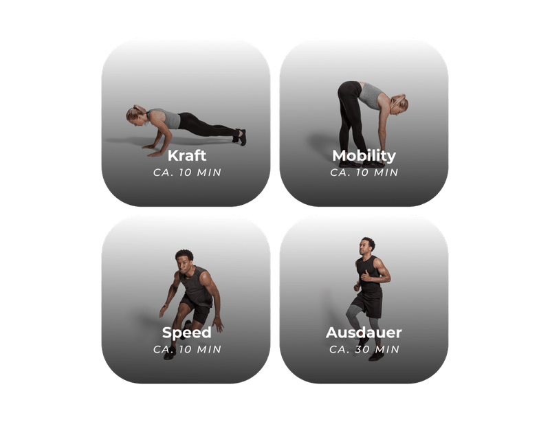 B42 Feature Leistungsdiagnostik für Kraft, Mobility, Ausdauer und Speed